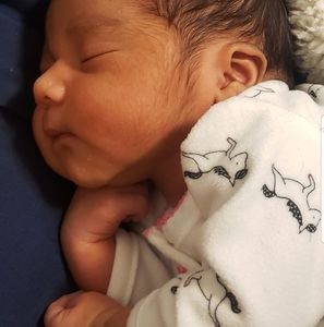 Meet your Posher, Maria